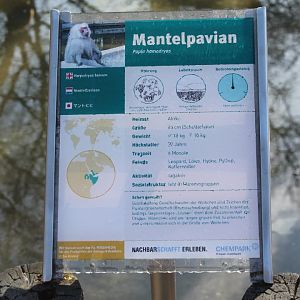 Sign Hamadryas baboon