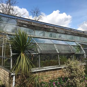 Tropical House 250318