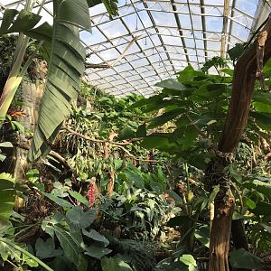 Tropical House 250318