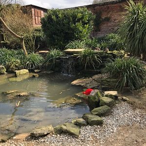 Walk-through aviary 250318