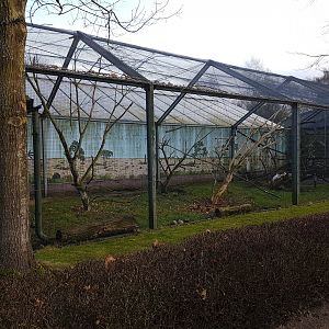 Cockatoo - Macaw aviary