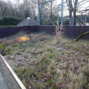 A second Meerkat-outdoor-enclosure