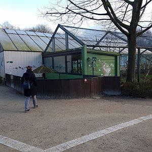 Paradieshalle with Outdoor-meerkat-enclosure and Parrot-aviary