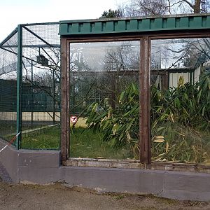 Red-bellied tamarin-enclosure
