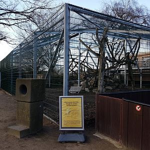 New Sulawesi crested macaque-enclosure under construction