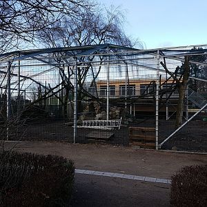 New Sulawesi crested macaque-enclosure under construction