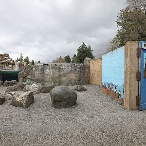 humboldt penguin exhibit