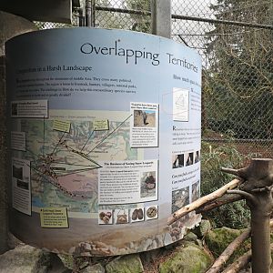 snow leopard graphics