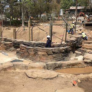 Walk About Aus. Ravine 2