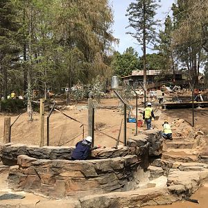 Walk About Aus. Ravine 1