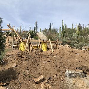 Walk About Aus. Bridge to Condor