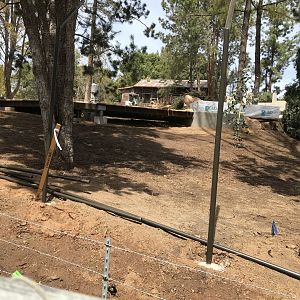 Walk About Aus. Path