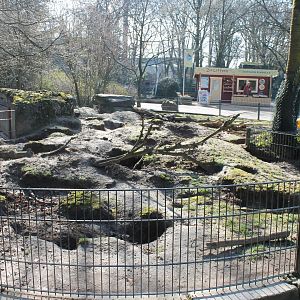 Porcupine-enclosure
