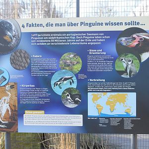 Penguin-info sign