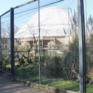 Penguin-walk-through enclosure from the outside