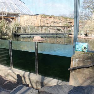 Underwater-viewing Penguin-pool