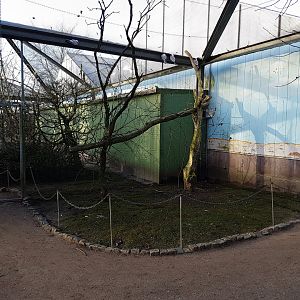 Galah walk-through aviary