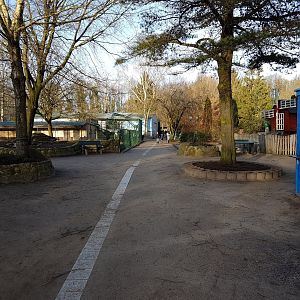 View into the Park