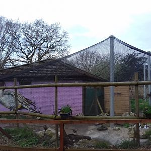 Wader aviary