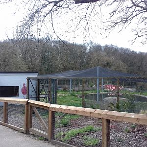 Flamingo enclosure