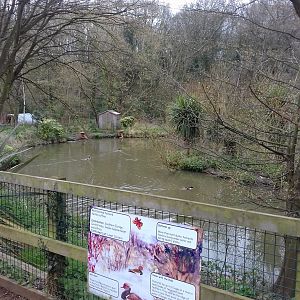 Duck pond