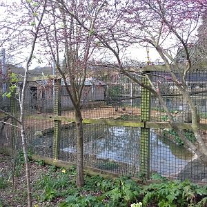 Capybara and Mara enclosure