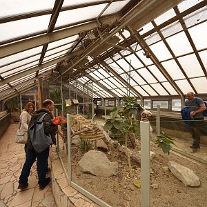 American greenhouse - Chihuahua