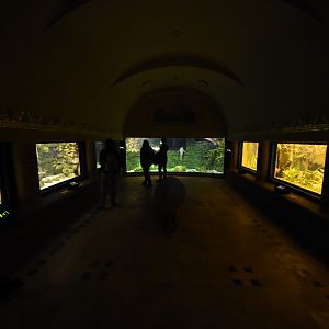 Aquarium