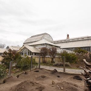 American greenhouse