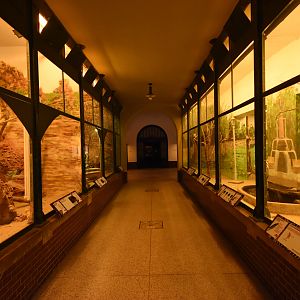 Australia house - Aviaries and terraria