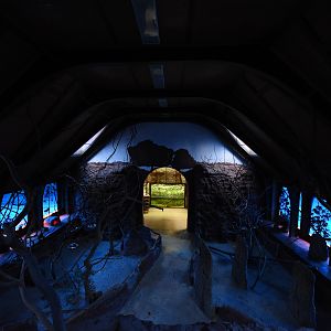 Australian house - Nocturnal part