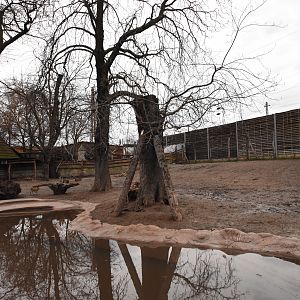 South-American enclosure