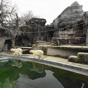 Polar bear enclosure