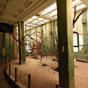 Asia house - Freeflight