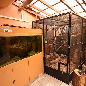 Wetlands house - Squirrel, hedgehogs and Catfish