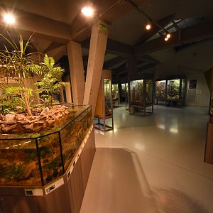 Magic mountain - Invertebrate displays