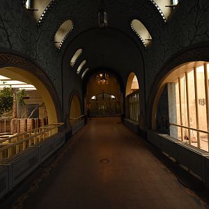 Elephant house - overview