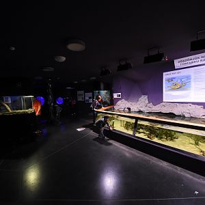 Magic mountain - Aquarium section