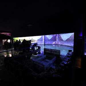 Magic mountain - Aquarium section