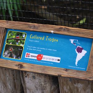 Trogon Signage at Chester, 07/04/18