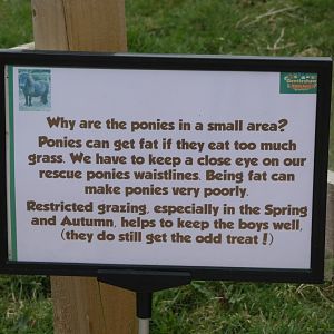 Signage in Paddock area