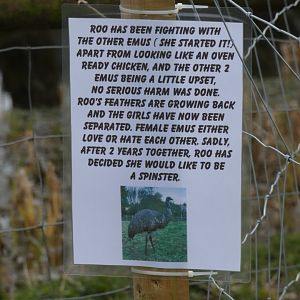 Signage on Emu paddock