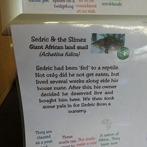 Giant African Land Snail Signage