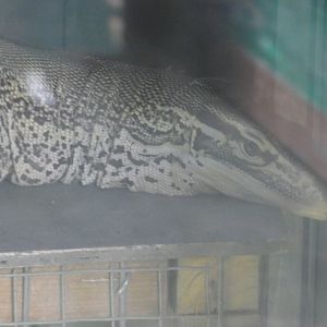 Argus Monitor