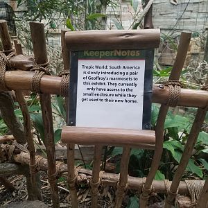 Some new friends are moving into Tropic World..