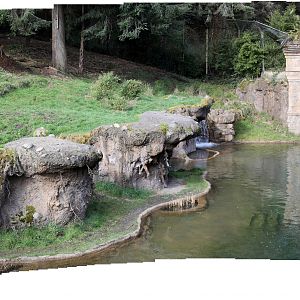 Sumatran tiger exhibit (pano composite)