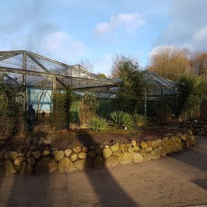 Walk-through aviaries