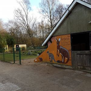 Kangaroo-stable