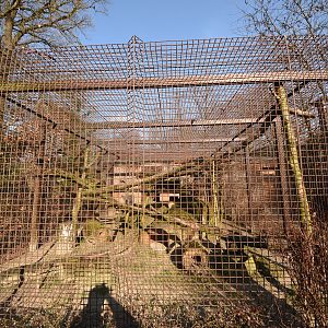 Fishing cat cage