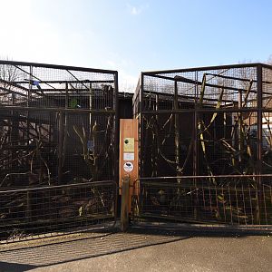 Lion-tailed macaque cages
